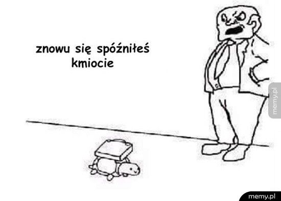 Żółwik