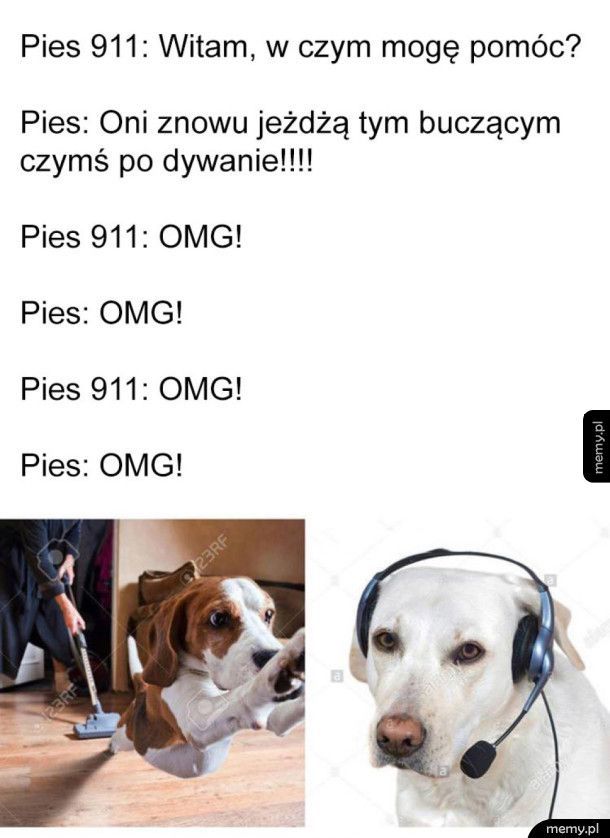 Pies 911