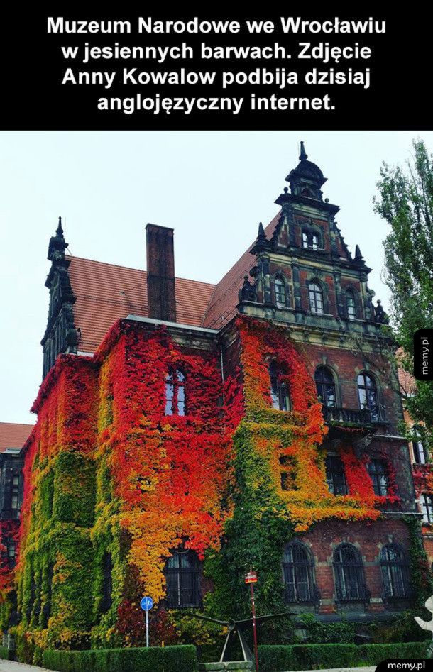 Muzeum Narodowe we Wrocławiu jesienią