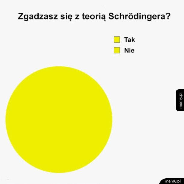 Czy zgadzasz się z Schrödingerem?