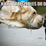Ten uczuć