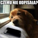 Dlaczego ona nie odpisuje