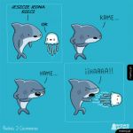 Kaaaameeeeeehaaaaaaameeeeeehaaaaaaaaaaaaaaaaaaa