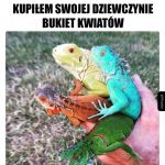 Nietypowy bukiet kwiatów