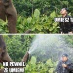       Słoń
