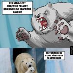 Niedźwiedź polarny