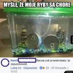 Myślę, że moje ryby są chore