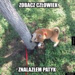 Rzuć mi