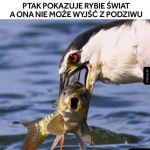 Wspaniały przyjaciel