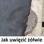 Nastoletnie żłówie ...