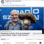 Przystanek na żądanie