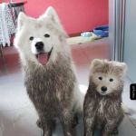 Skończyła się złota jesień