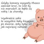 Dobre ziomki komary