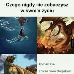 Czego nie zobaczysz
