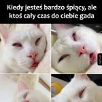 Daj spać