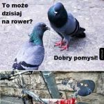Plan na dziś