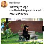 Coś w tym jest