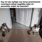 Zagadka