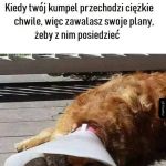 Nie ma takiego smutania