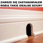 Jak one to robią