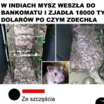 Przejadła się