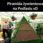 Piramida żywieniowa