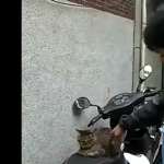 Czy m&oacute;głbyś zejść?