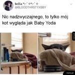 Podobieństwo