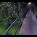 Poranna przejażdżka na rowerze