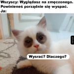 Niewyspany