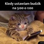 Budzik