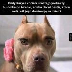Karyna i Seba