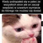 Przechodzenie w gęstość