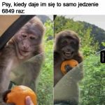 Pieseły tak mają
