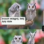 Brzuch