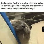 To podchodzi pod tortury