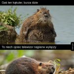 A tak serio, lepiej wyłączcie, burza stulecia idzie