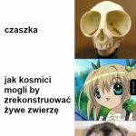 Duże gałki oczne