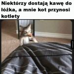 Kochany kotek