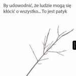 Ludzie mogą pokłócić o wszystko, nawet o tę gałąź