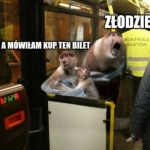 Kupowanie bilet&oacute;w