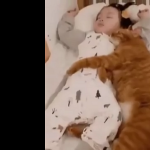 Best friends