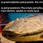 Stan pod prysznicem