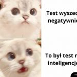 Zn&oacute;w nie zdałem :(