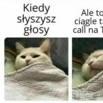 Słyszę głosy..