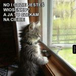 Czekam...