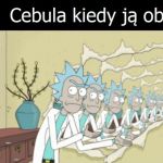 Cebula