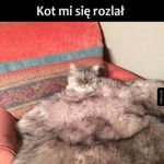 Za ciepło