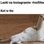 Nofilter