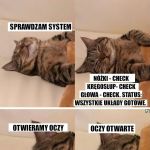 Względy bezpieczeństwa przytulności i milutkości